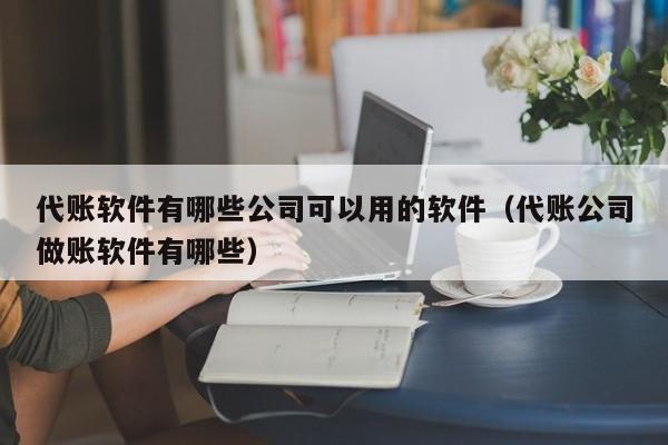 代账软件有哪些公司可以用的软件（代账公司做账软件有哪些）