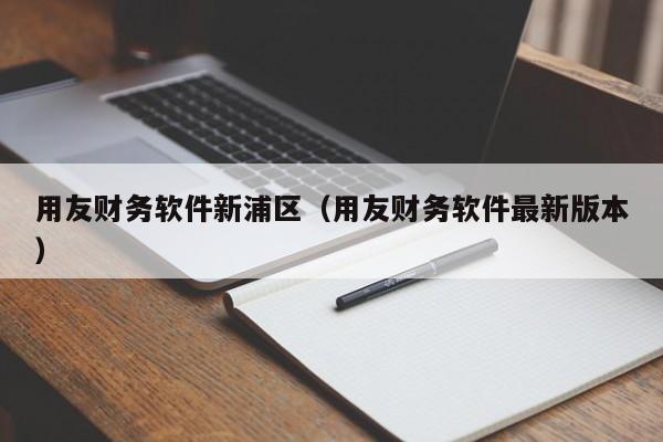 用友财务软件新浦区（用友财务软件最新版本）