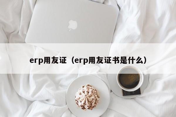 erp用友证（erp用友证书是什么）