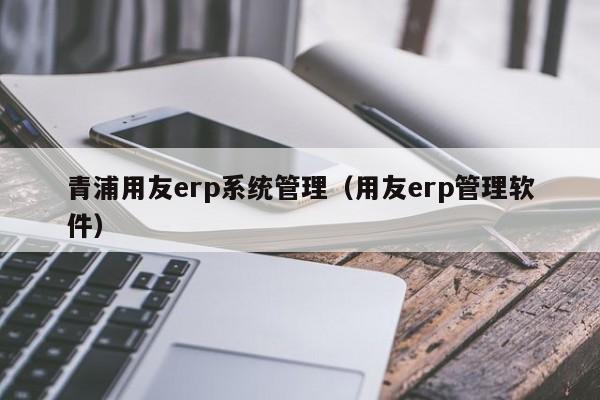 青浦用友erp系统管理（用友erp管理软件）