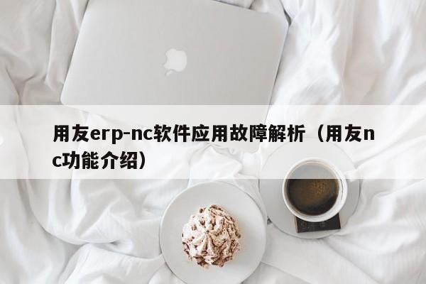 用友erp-nc软件应用故障解析（用友nc功能介绍）