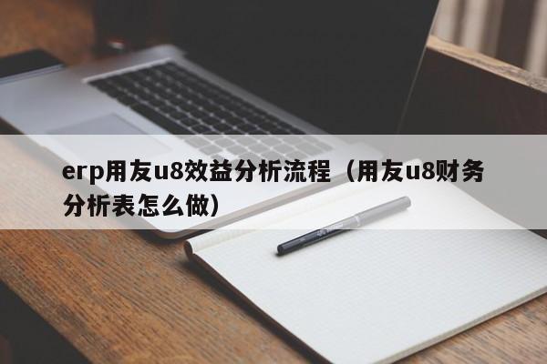 erp用友u8效益分析流程（用友u8财务分析表怎么做）