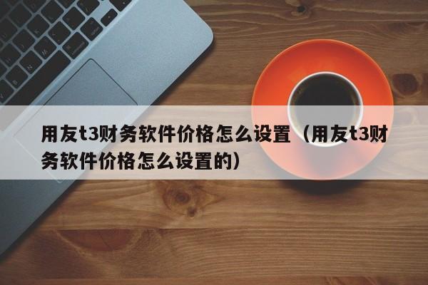 用友t3财务软件价格怎么设置（用友t3财务软件价格怎么设置的）