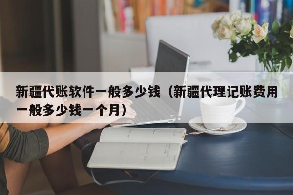 新疆代账软件一般多少钱（新疆代理记账费用一般多少钱一个月）