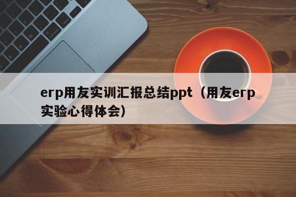 erp用友实训汇报总结ppt（用友erp实验心得体会）