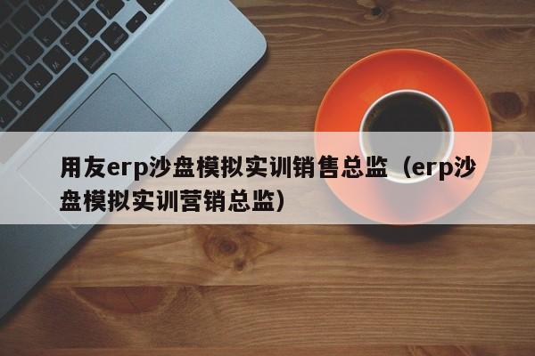 用友erp沙盘模拟实训销售总监（erp沙盘模拟实训营销总监）