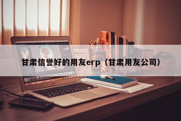 甘肃信誉好的用友erp（甘肃用友公司）