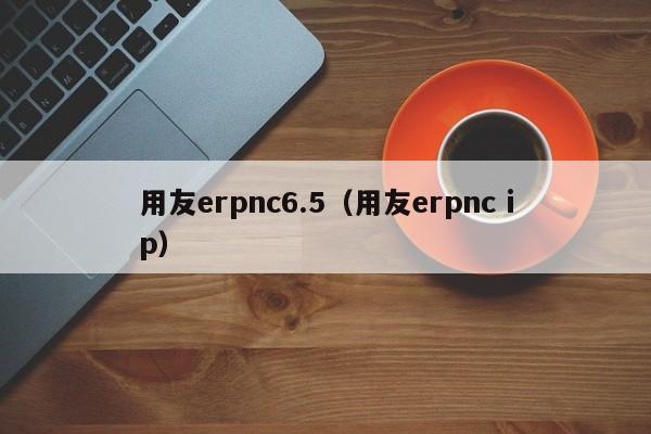 用友erpnc6.5（用友erpnc ip）