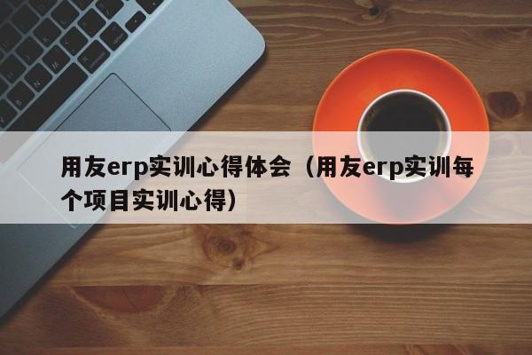 用友erp实训心得体会（用友erp实训每个项目实训心得）