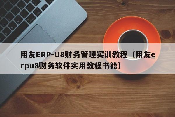 用友ERP-U8财务管理实训教程（用友erpu8财务软件实用教程书籍）