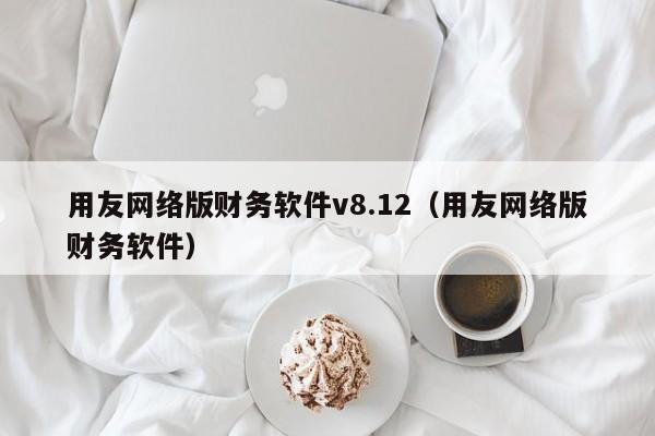 用友网络版财务软件v8.12（用友网络版财务软件）