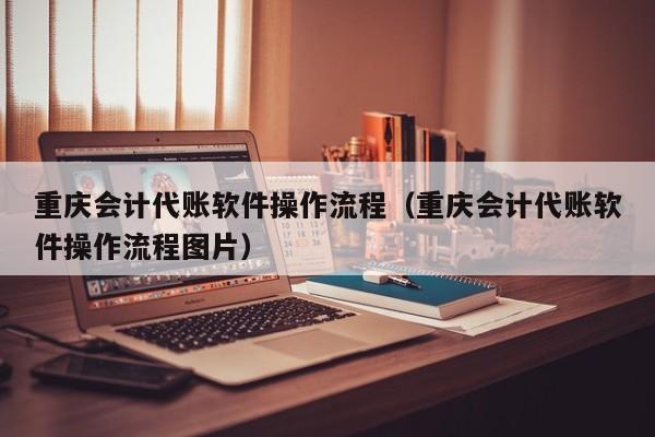 重庆会计代账软件操作流程（重庆会计代账软件操作流程图片）