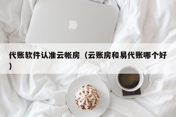 代账软件认准云帐房（云账房和易代账哪个好）