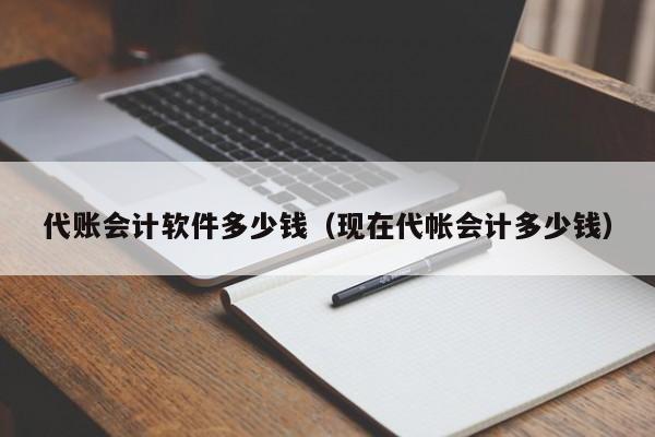 代账会计软件多少钱（现在代帐会计多少钱）