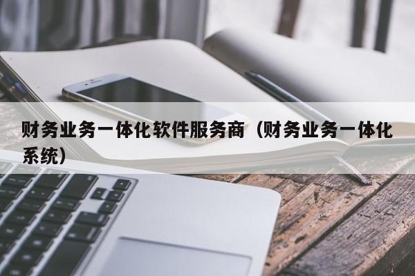 财务业务一体化软件服务商（财务业务一体化系统）