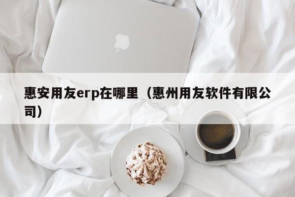 惠安用友erp在哪里（惠州用友软件有限公司）