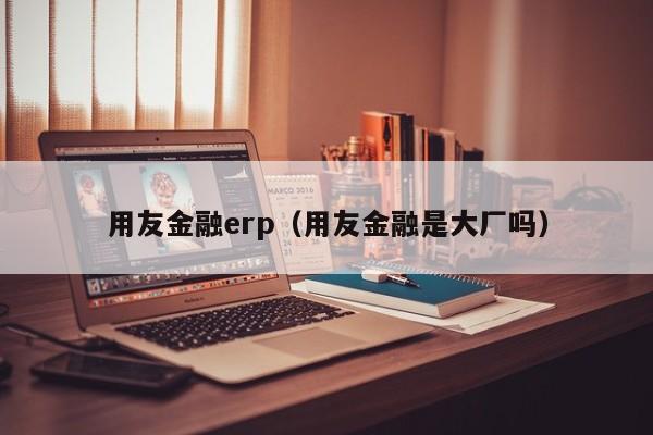 用友金融erp（用友金融是大厂吗）