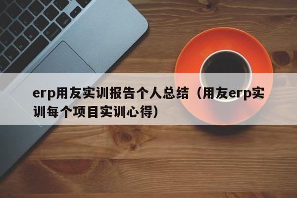 erp用友实训报告个人总结（用友erp实训每个项目实训心得）