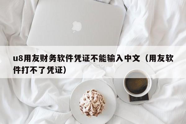 u8用友财务软件凭证不能输入中文（用友软件打不了凭证）