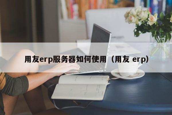 用友erp服务器如何使用（用友 erp）