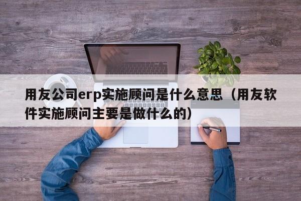 用友公司erp实施顾问是什么意思（用友软件实施顾问主要是做什么的）