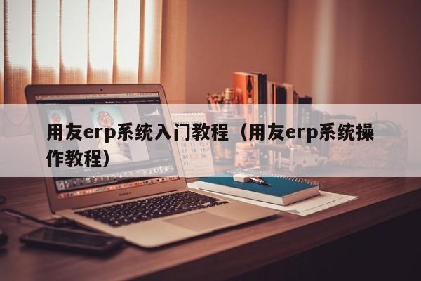 用友erp系统入门教程（用友erp系统操作教程）