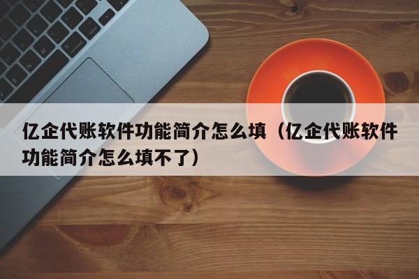 亿企代账软件功能简介怎么填（亿企代账软件功能简介怎么填不了）