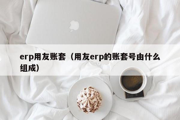 erp用友账套（用友erp的账套号由什么组成）