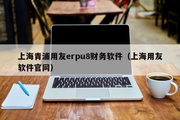 上海青浦用友erpu8财务软件（上海用友软件官网）