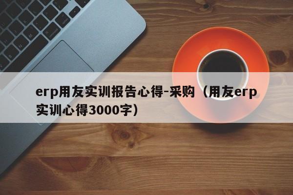 erp用友实训报告心得-采购（用友erp实训心得3000字）