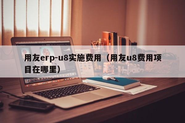 用友erp-u8实施费用（用友u8费用项目在哪里）