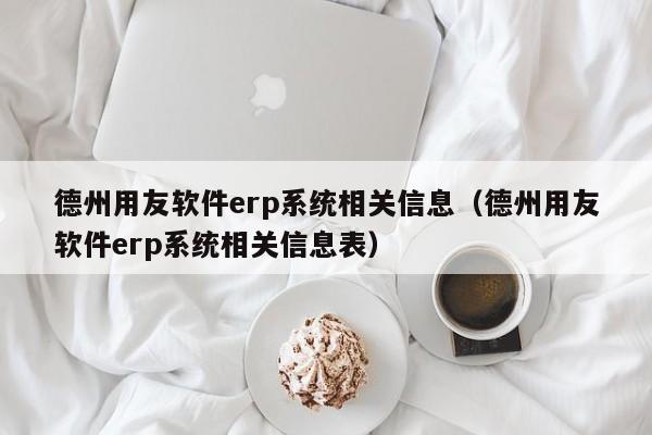 德州用友软件erp系统相关信息（德州用友软件erp系统相关信息表）