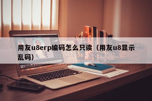 用友u8erp编码怎么只读（用友u8显示乱码）