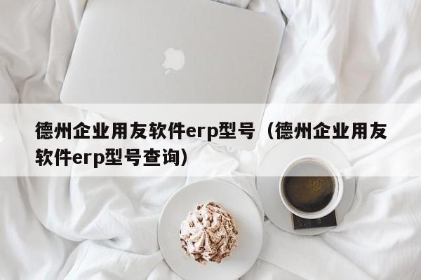 德州企业用友软件erp型号（德州企业用友软件erp型号查询）