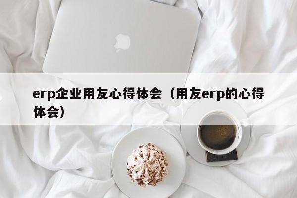 erp企业用友心得体会（用友erp的心得体会）