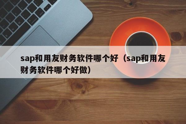 sap和用友财务软件哪个好（sap和用友财务软件哪个好做）