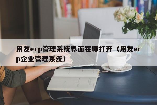 用友erp管理系统界面在哪打开（用友erp企业管理系统）