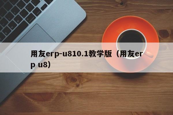 用友erp-u810.1教学版（用友erp u8）