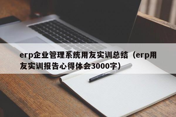 erp企业管理系统用友实训总结（erp用友实训报告心得体会3000字）