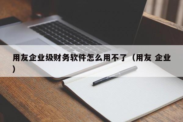 用友企业级财务软件怎么用不了（用友 企业）