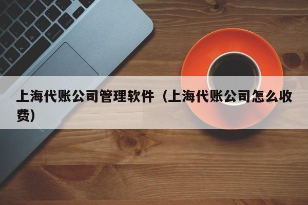 上海代账公司管理软件（上海代账公司怎么收费）