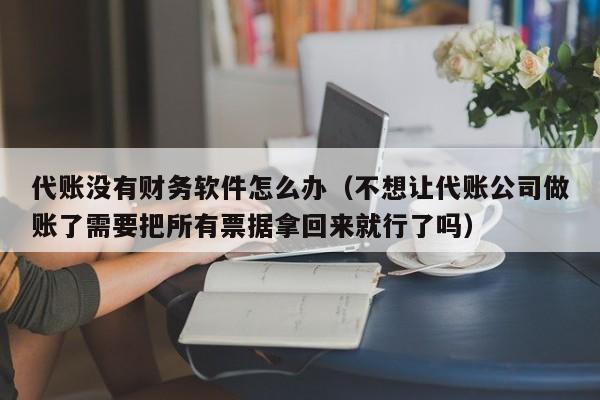 代账没有财务软件怎么办（不想让代账公司做账了需要把所有票据拿回来就行了吗）