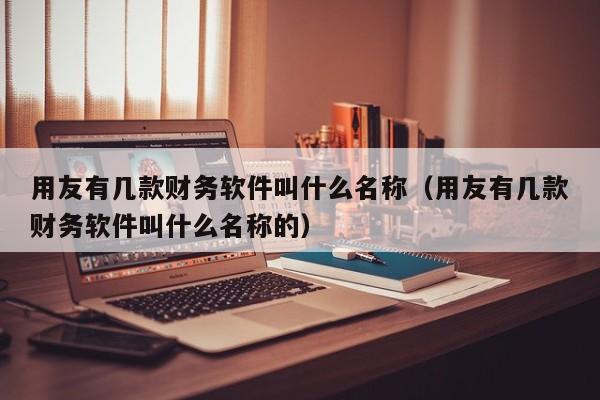 用友有几款财务软件叫什么名称（用友有几款财务软件叫什么名称的）