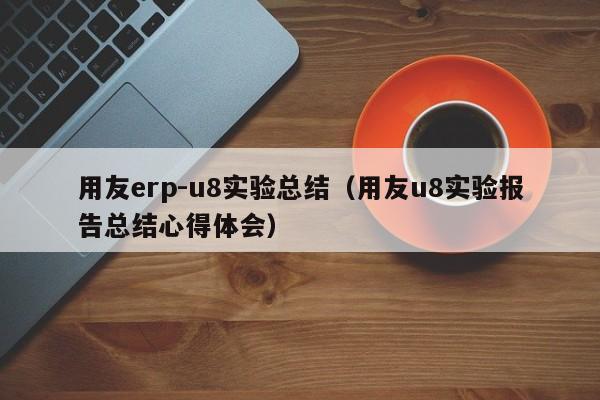 用友erp-u8实验总结（用友u8实验报告总结心得体会）