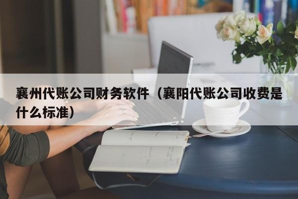 襄州代账公司财务软件（襄阳代账公司收费是什么标准）