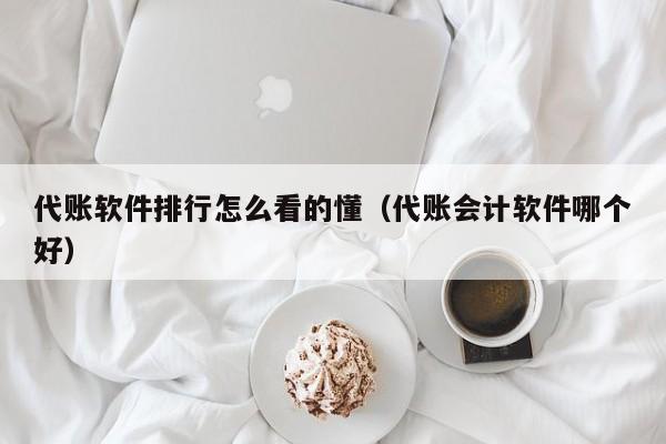 代账软件排行怎么看的懂（代账会计软件哪个好）