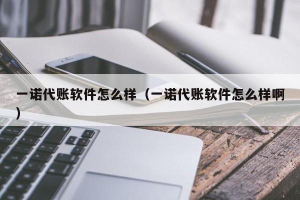 一诺代账软件怎么样（一诺代账软件怎么样啊）