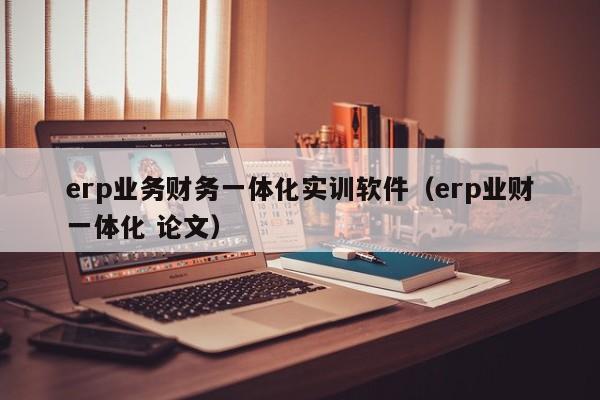 erp业务财务一体化实训软件（erp业财一体化 论文）