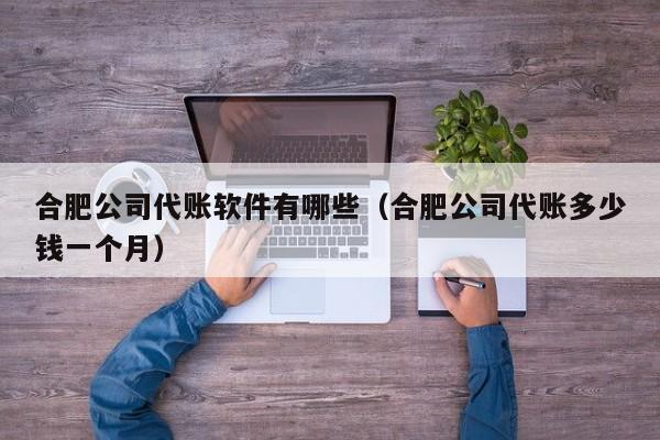 合肥公司代账软件有哪些（合肥公司代账多少钱一个月）