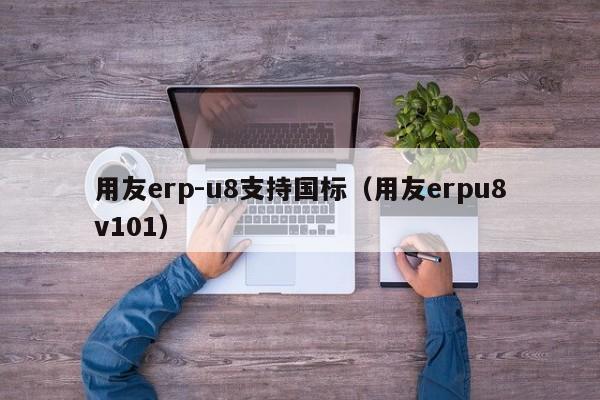 用友erp-u8支持国标（用友erpu8v101）